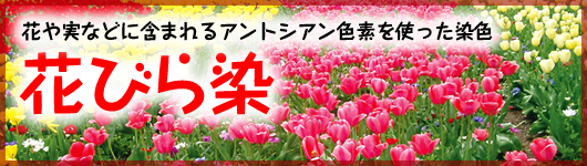 花や実などに含まれるアントシアン色素を使った染色 花びら染