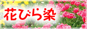 花や実などに含まれるアントシアン色素を使った染色 花びら染