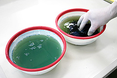 水洗いと発色剤EC