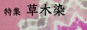 特集 草木染