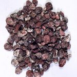 135-207-40-150x150.jpg